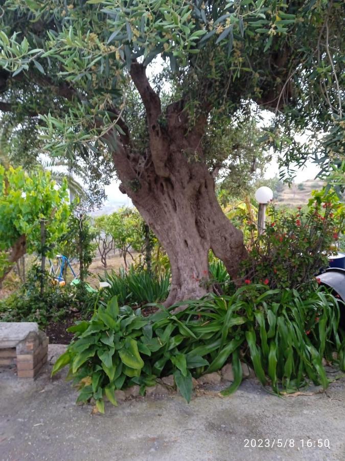 Casa Da Daniela Villa Taormina Eksteriør billede